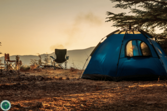 Nature's Oasis A Visual Journey Through Desert Tortoise Campground