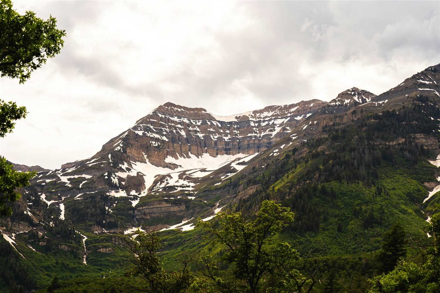 Shimla and Manali